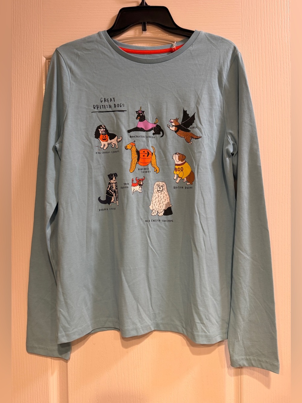 NWT Mini Boden Frost Blue Great British Dogs Halloween Graphic Tee 15-16Y